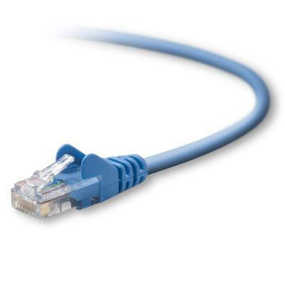 50' Cat5e Snaglessptchcble Blu