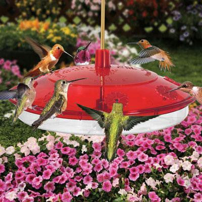 8 Port Hummingbird Feeder