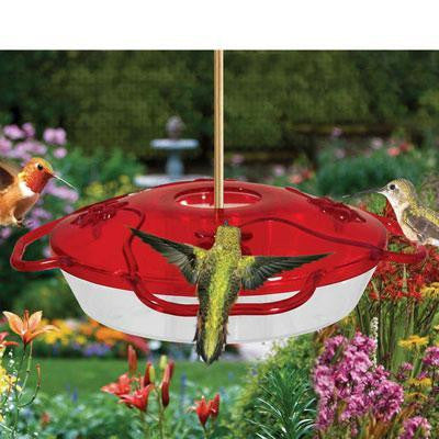 4 Flower Ports Hummingbird Fee