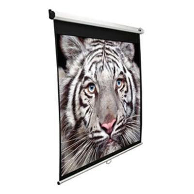 100" Diag Manual Pulldown Scr