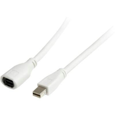 6' Mini Displayport M-f